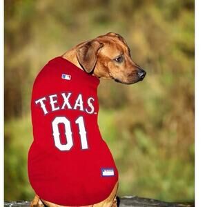 Texas Rangers MLB baseball jersey for dog size large
